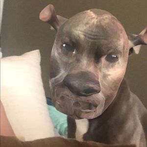 Meet your Posher, Olivia